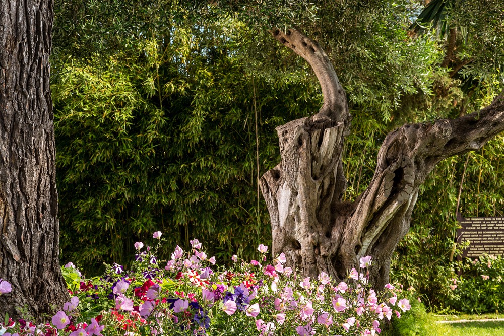 Kontokali Bay Resort  Spa